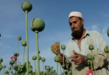Afganistán podrá vender toneladas de opio a compañías y países autorizados