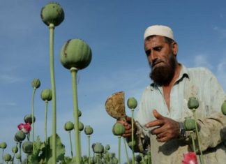 Afganistán podrá vender toneladas de opio a compañías y países autorizados