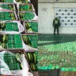 Empresa exportadora de bananos usada para sacar cocaína en tres ocasiones