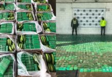 Empresa exportadora de bananos usada para sacar cocaína en tres ocasiones