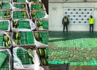 Empresa exportadora de bananos usada para sacar cocaína en tres ocasiones