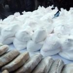 Detienen a siete panameños y un venezolano por tráfico de cocaína en Panamá