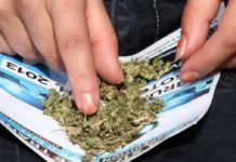 Nuevo golpe a las «asociaciones cannábicas» de Barcelona por tráfico de drogas