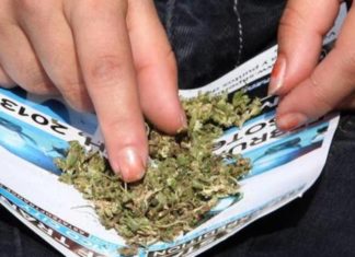 Nuevo golpe a las «asociaciones cannábicas» de Barcelona por tráfico de drogas