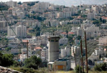 Israel: Niños hallan dos kilos de drogas al buscar caracoles en el patio del colegio