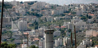 Israel: Niños hallan dos kilos de drogas al buscar caracoles en el patio del colegio