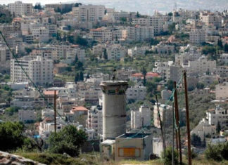 Israel: Niños hallan dos kilos de drogas al buscar caracoles en el patio del colegio