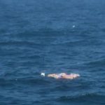 La Marina de Guerra de Perú encontró más de 350 kilos de marihuana en el mar