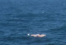 La Marina de Guerra de Perú encontró más de 350 kilos de marihuana en el mar