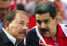 Oro Nicaragüense: Exportaciones misteriosas y un posible vínculo con Venezuela