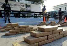 Armada colombiana halla más de una tonelada de cocaína en suroeste del país