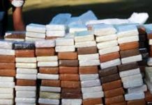 Policía Aeronaval y de Fronteras de Panamá decomisan 1.512 paquetes de droga