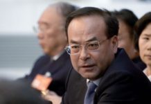 Cadena perpetua para la pieza más valiosa de la lucha anticorrupción china