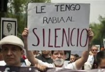 Periodista mexicana: reporteros de provincias arreglan con narcos o mueren