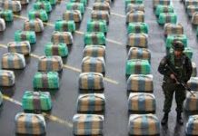 Costa Rica desarma red de narcotráfico con apoyo de Ecuador y Colombia