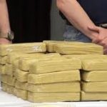 Incautan en Ecuador 319 kilos de cocaína que tenía como destino EEUU y Europa