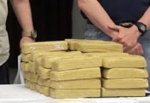 Incautan en Ecuador 319 kilos de cocaína que tenía como destino EEUU y Europa
