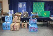 Desmantelan en España una importante red de tráfico de hachís