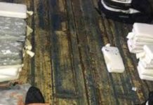 Panamá intercepta contenedor con 50 paquetes de droga que iba hacia Italia