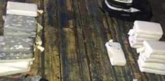 Panamá intercepta contenedor con 50 paquetes de droga que iba hacia Italia