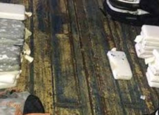 Panamá intercepta contenedor con 50 paquetes de droga que iba hacia Italia