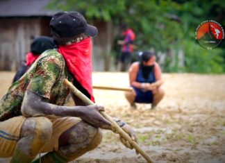 Conozca cómo Venezuela se convirtió en el refugio del narcotráfico