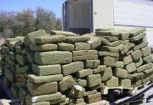 170 toneladas de marihuana fueron incautadas en frontera con Brasil