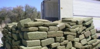 170 toneladas de marihuana fueron incautadas en frontera con Brasil