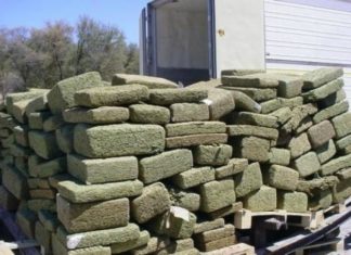 170 toneladas de marihuana fueron incautadas en frontera con Brasil