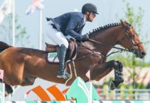 Departamento del Tesoro de EEUU subasta catorce valiosos caballos de salto de ex tesorero Alejandro Andrade