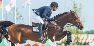 Departamento del Tesoro de EEUU subasta catorce valiosos caballos de salto de ex tesorero Alejandro Andrade