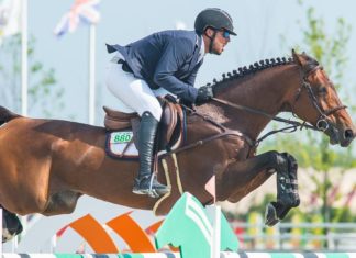 Departamento del Tesoro de EEUU subasta catorce valiosos caballos de salto de ex tesorero Alejandro Andrade