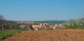 Pequiven podría librarse de sanciones de EEUU sanciones-de-EEUU