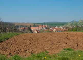 Pequiven podría librarse de sanciones de EEUU sanciones-de-EEUU