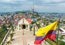 Dólares y sombras: Ecuador en la encrucijada del crimen organizado y la dolarización Ecuador