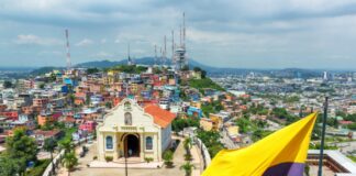 Dólares y sombras: Ecuador en la encrucijada del crimen organizado y la dolarización Ecuador