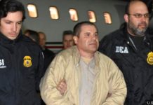 EEUU incautará $12.600 millones a El Chapo en concepto de las drogas traficadas El-Chapo