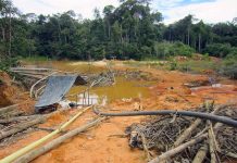 Destrucción del Arco Minero del Orinoco coincide con incendio de la Amazonia brasileña