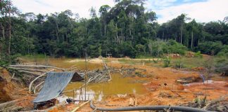 Destrucción del Arco Minero del Orinoco coincide con incendio de la Amazonia brasileña