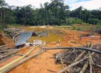 Destrucción del Arco Minero del Orinoco coincide con incendio de la Amazonia brasileña