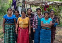 América Latina: la región con más asesinatos de defensores ambientales en el 2018