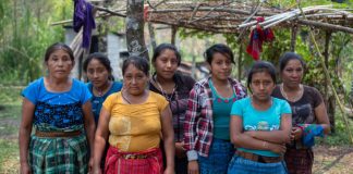 América Latina: la región con más asesinatos de defensores ambientales en el 2018