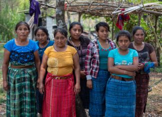 América Latina: la región con más asesinatos de defensores ambientales en el 2018