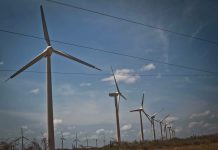 ¿En dónde están los millones de dólares aprobados para los frustrados parques eólicos de Venezuela?