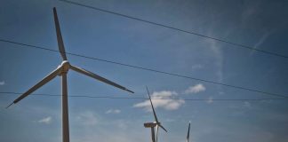 ¿En dónde están los millones de dólares aprobados para los frustrados parques eólicos de Venezuela?