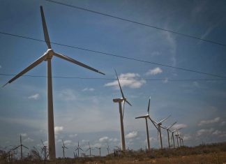 ¿En dónde están los millones de dólares aprobados para los frustrados parques eólicos de Venezuela?