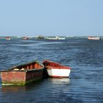 Seis detenidos por tráfico de personas en Aruba