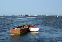 Seis detenidos por tráfico de personas en Aruba