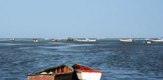 Seis detenidos por tráfico de personas en Aruba