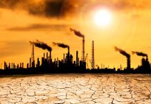 Tenemos una sola oportunidad, ¿cómo podemos combatir la crisis climática?